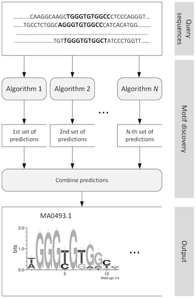 Ensemble methods for motif analysis