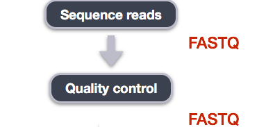 workflow_qc